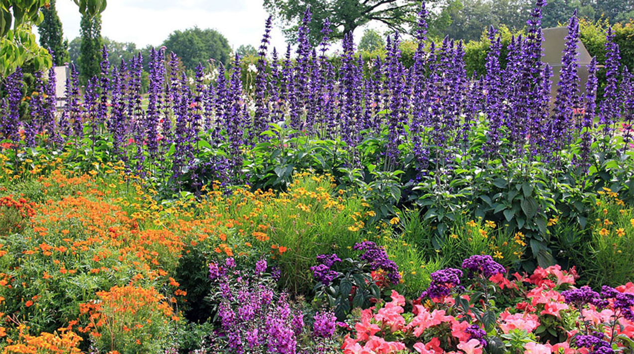 parks flower beds